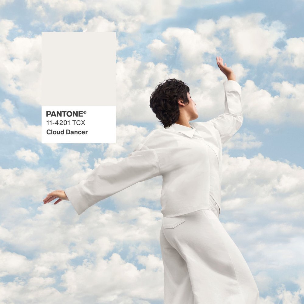 Por que a cor do ano é básica demais para alguns - e perfeita para outros?