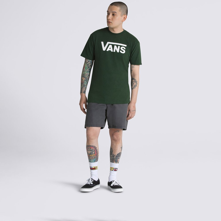 Camiseta Vans Classic Ss Mountain View