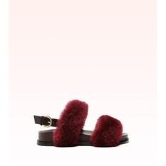 Sport Sandal Shearling Bloodstone