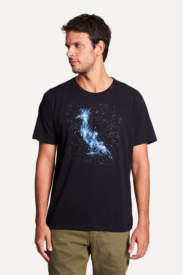 CAMISETA PRETA RESERVA ESTAMPADA PICA PAU NEBULA