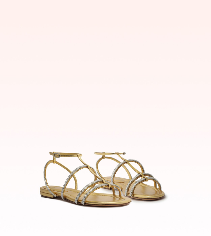 Martina Zircone Flat Oro