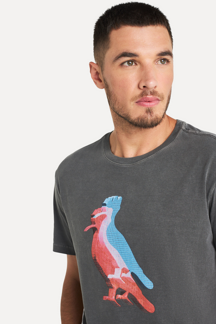 CAMISETA PRETA RESERVA ESTAMPADA PICA-PAU REGISTRO 3D