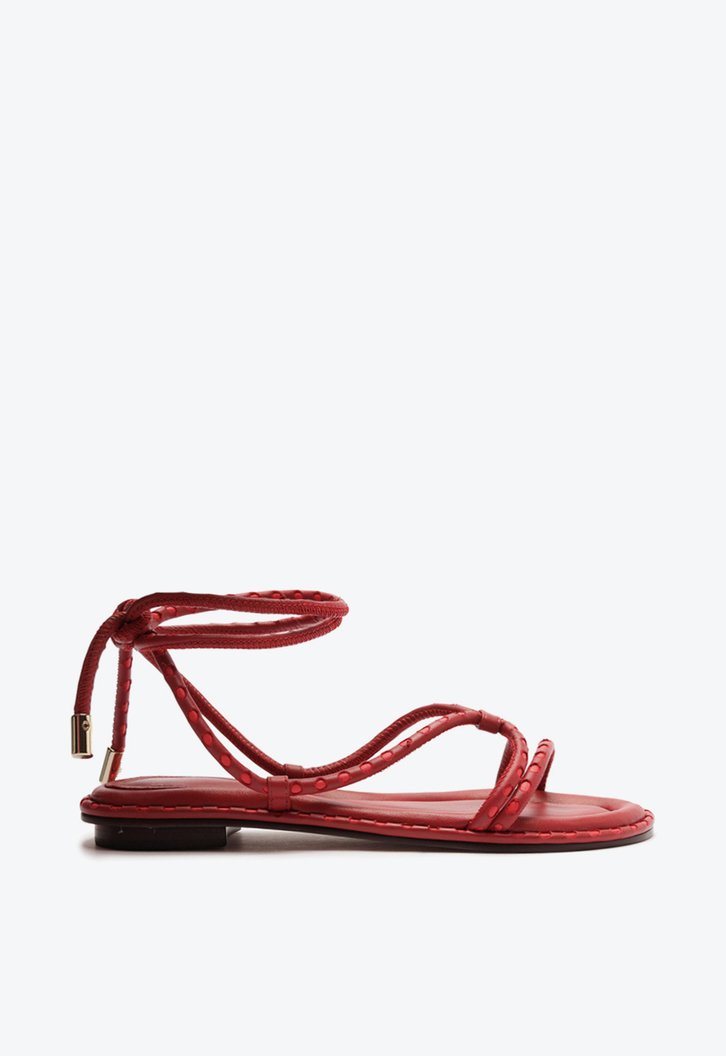Donna Flat 15 Macaw