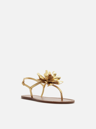 Sandália Rasteira Dourada Arezzo Couro Slim Flor Marianne
