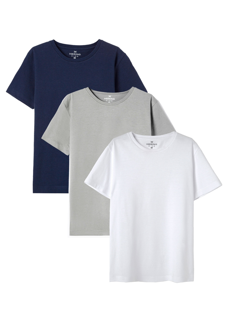 Kit 3 Camisetas Coloridas Hering Manga Curta Slim