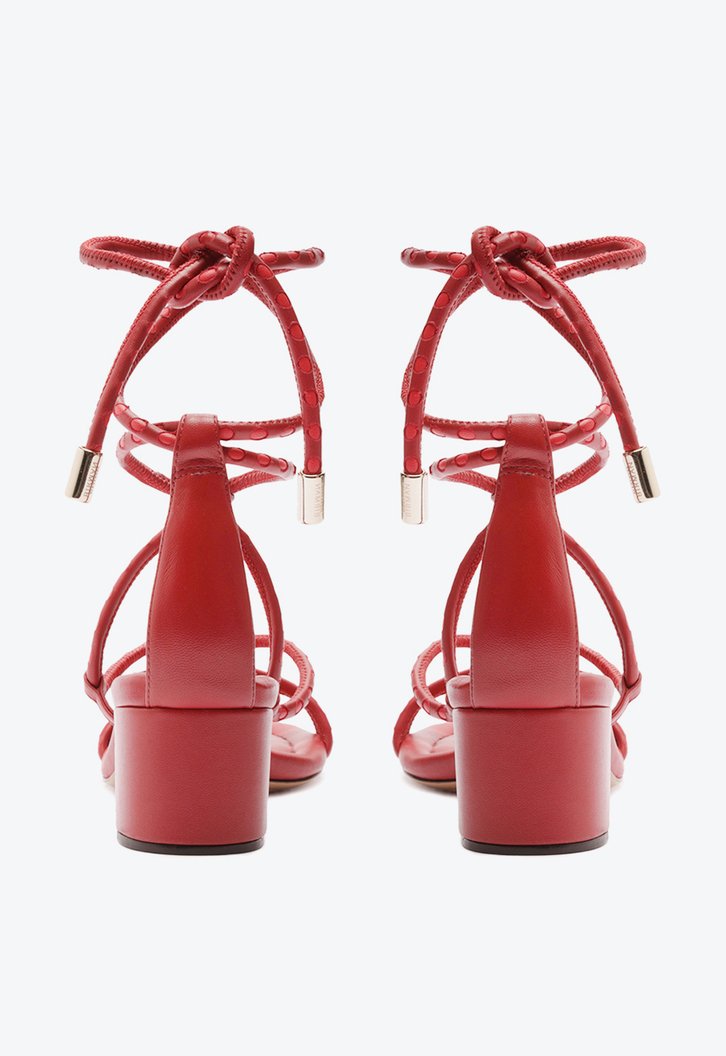 Donna 45 Macaw