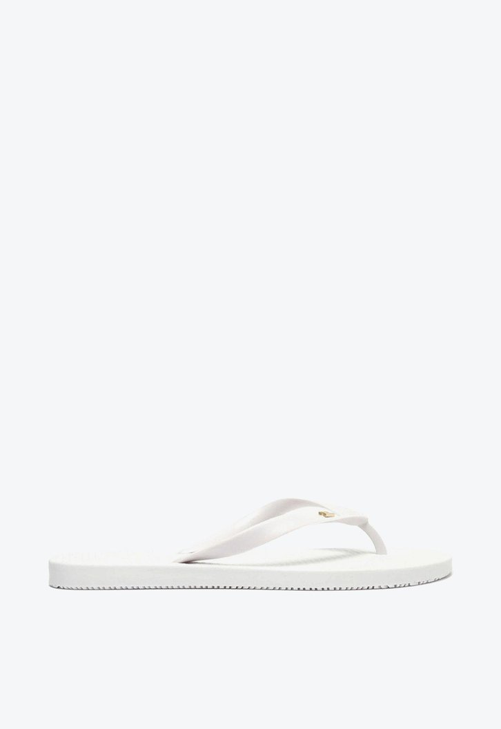 Chinelo De Dedo Cinza Brizza Injetado