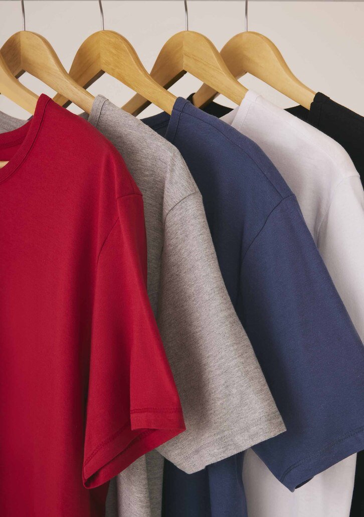 Kit Com 5 Camisetas Multicoloridas Hering Básicas Slim