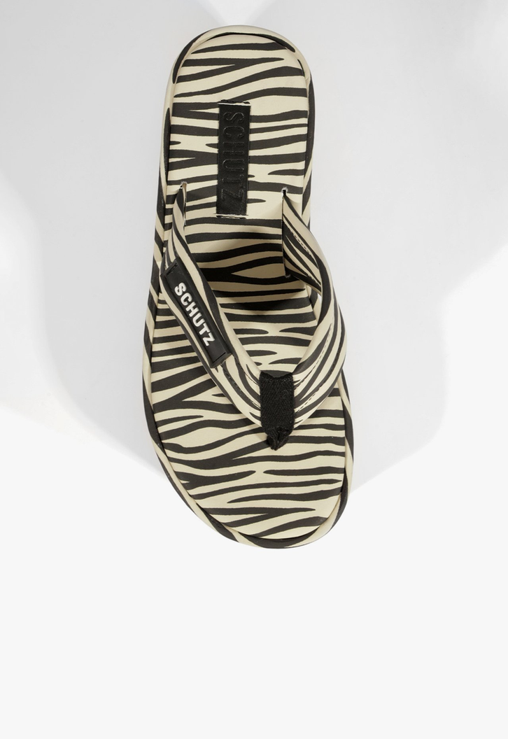 Chinelo Zoe Plataforma Estampa Zebra
