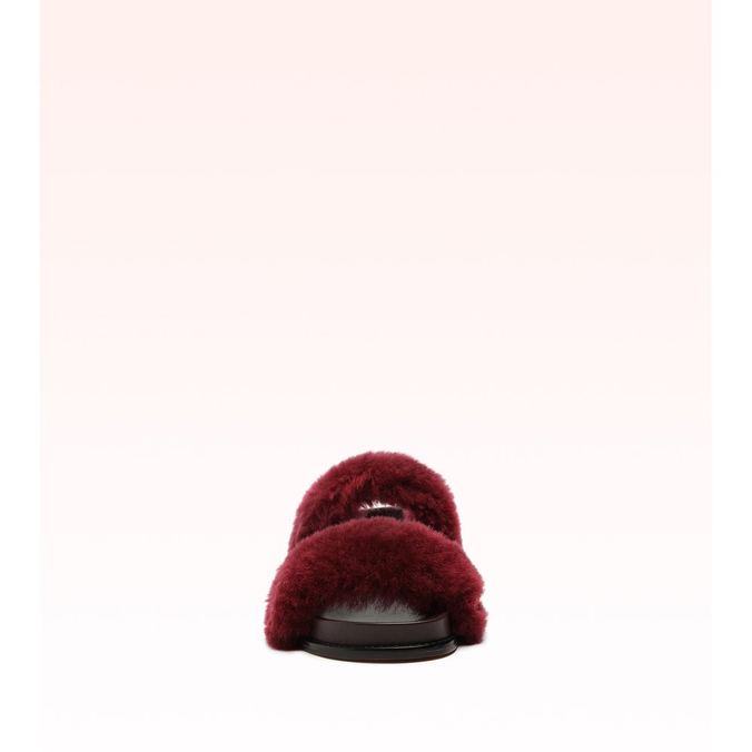 Sport Sandal Shearling Bloodstone