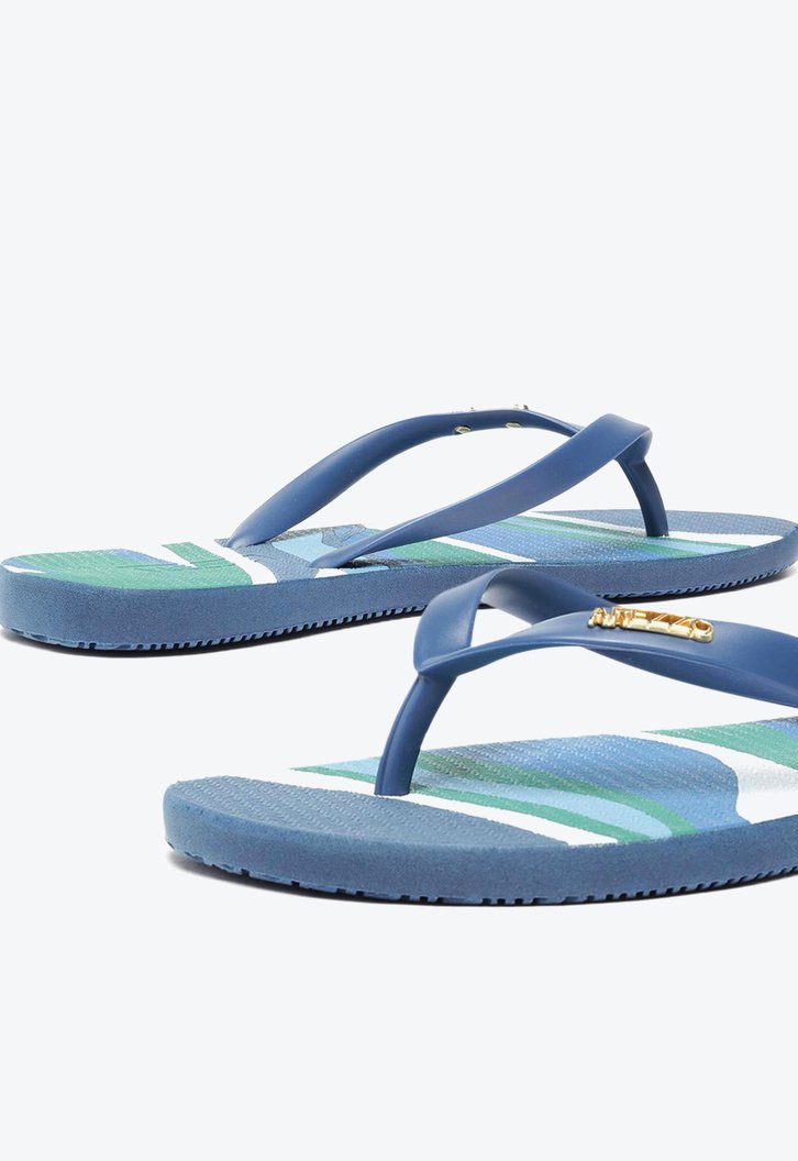 Chinelo De Dedo Azul Estampado Brizza