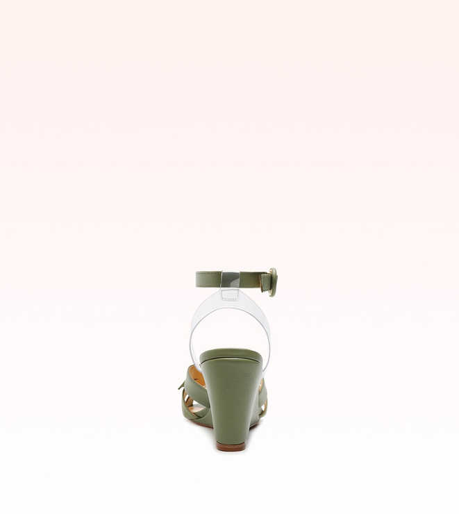 Suelita Birman 75 Turtle