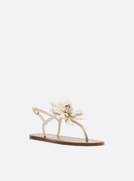 Sandália Rasteira Branca Arezzo Couro Slim Flor Marianne