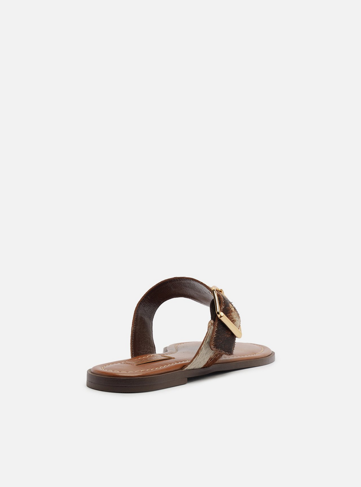 Rasteira Animal Print Tira Thong Fivela