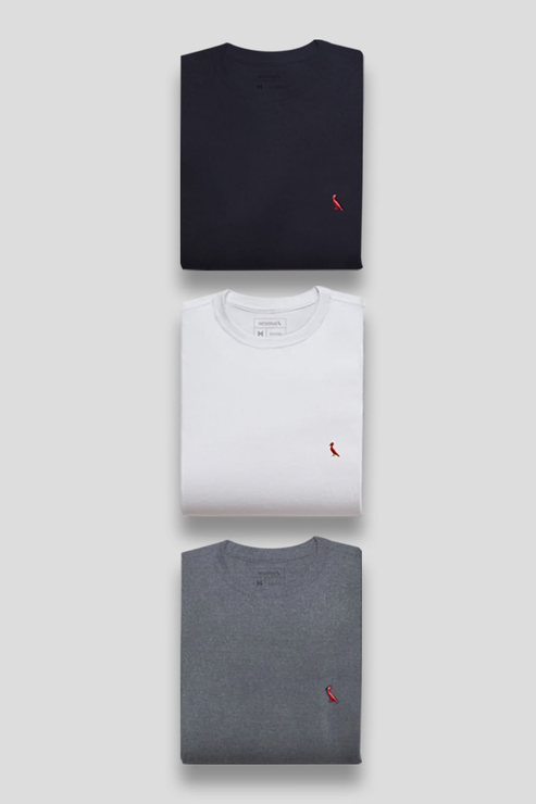Kit 3 Camisetas Reserva Básicas Pica-Pau Bordado