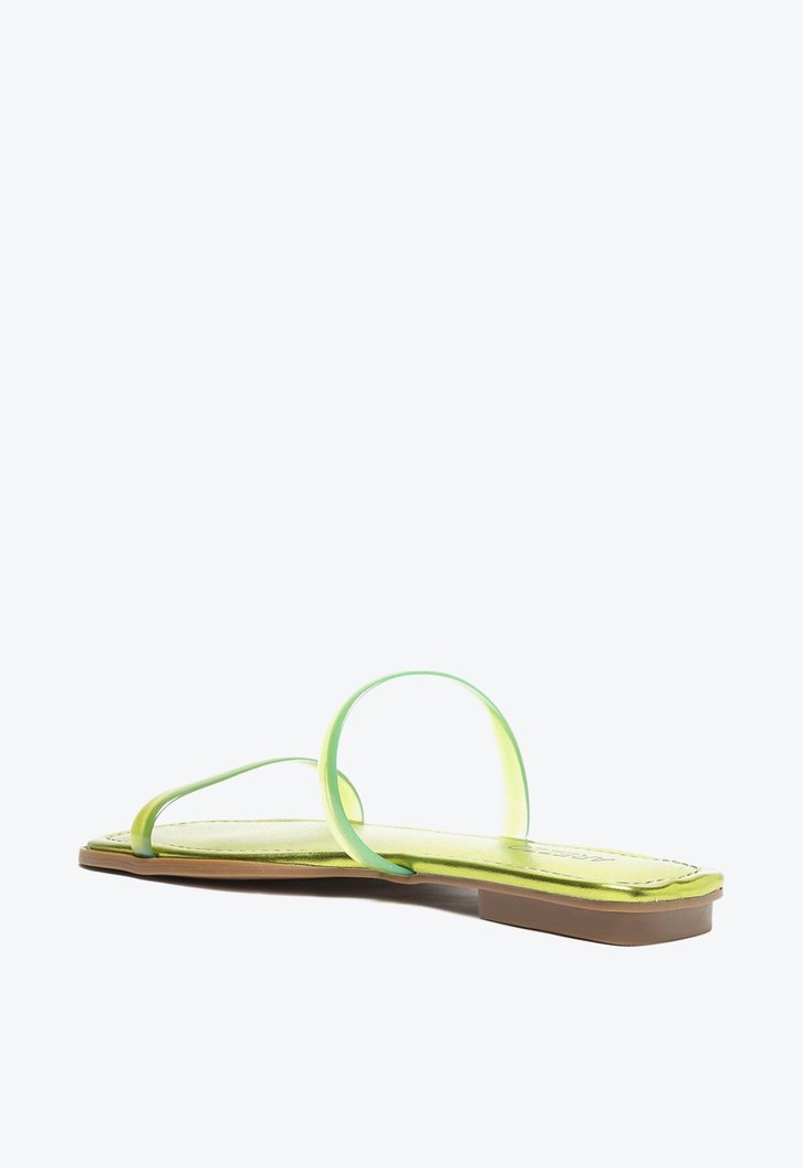 Kit Rasteira Metalizada Verde Arezzo E Pochete