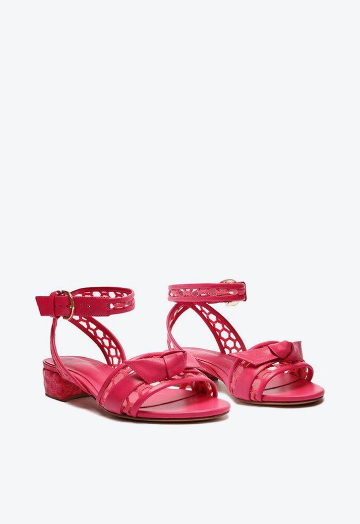 Clarita Net 30 Fluo Pink
