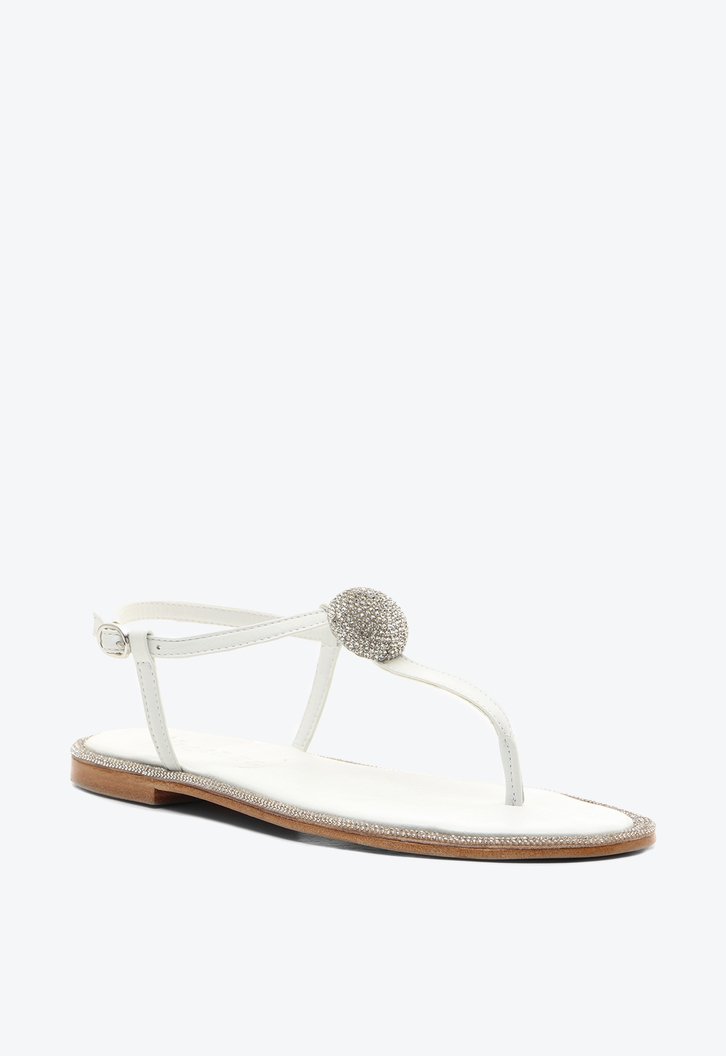 Flat Coron Branca