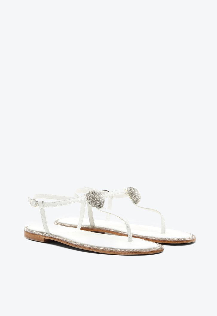 Flat Coron Branca