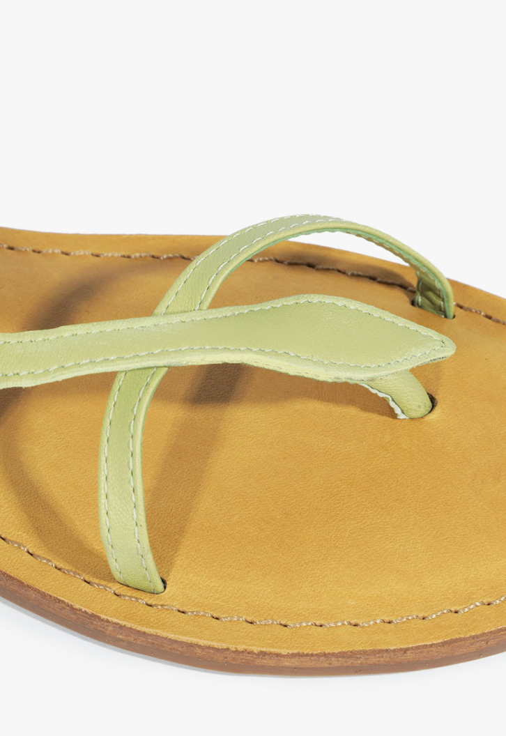 Sandália Rasteira Verde Schutz | ZZ MALL