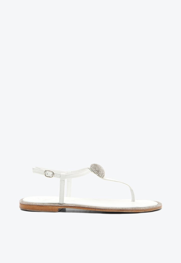 Flat Coron Branca