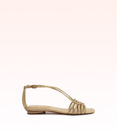 Naya Flat Golden