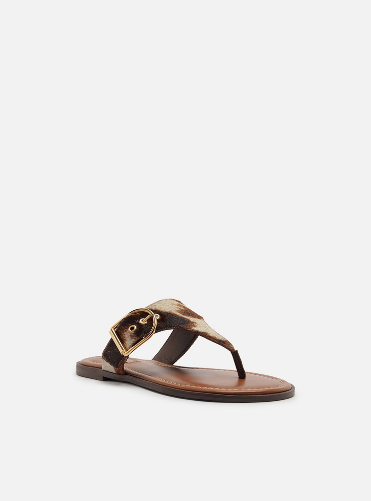 Rasteira Animal Print Tira Thong Fivela