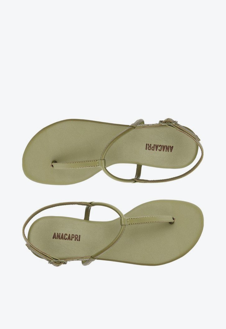 Rasteira Verde Anacapri Alecrim Slim