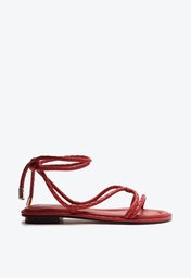 Donna Flat 15 Macaw