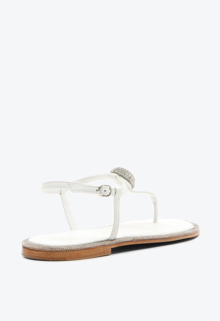 Flat Coron Branca