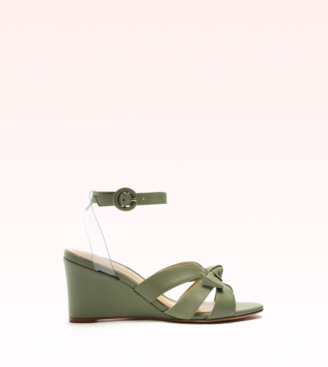 Suelita Birman 75 Turtle