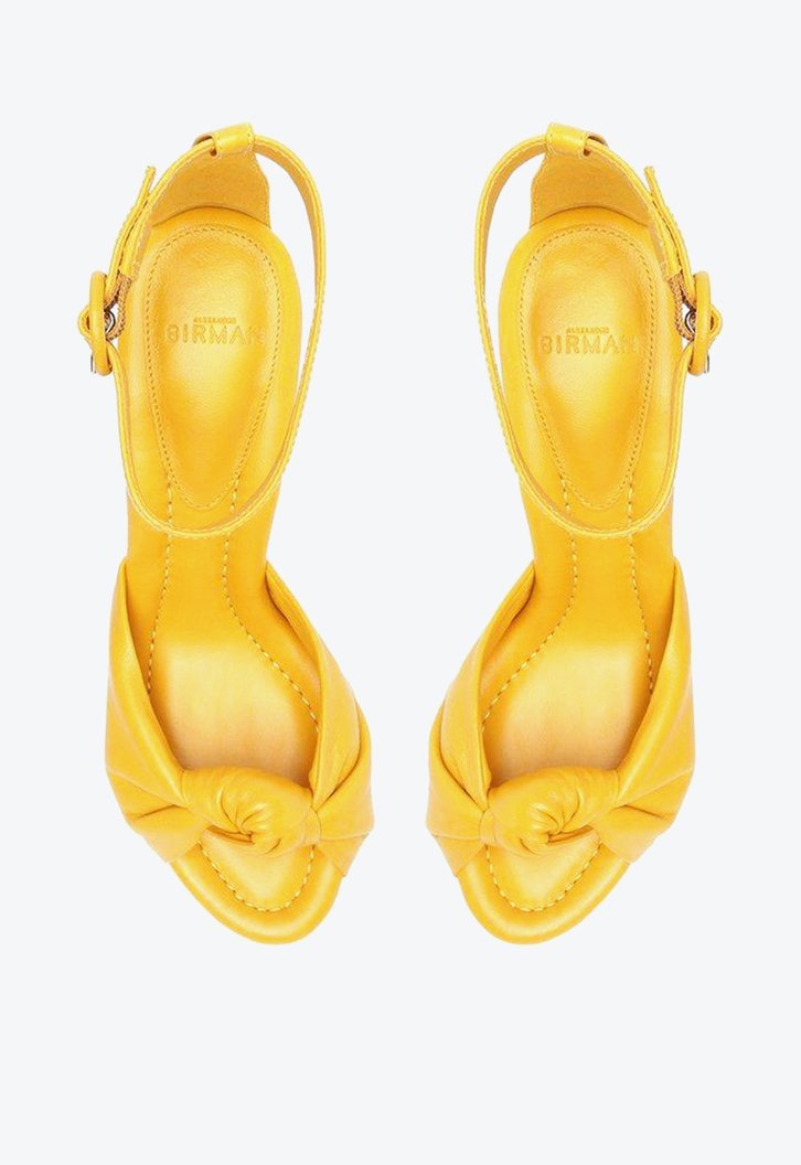 Lina Block 90 Maize