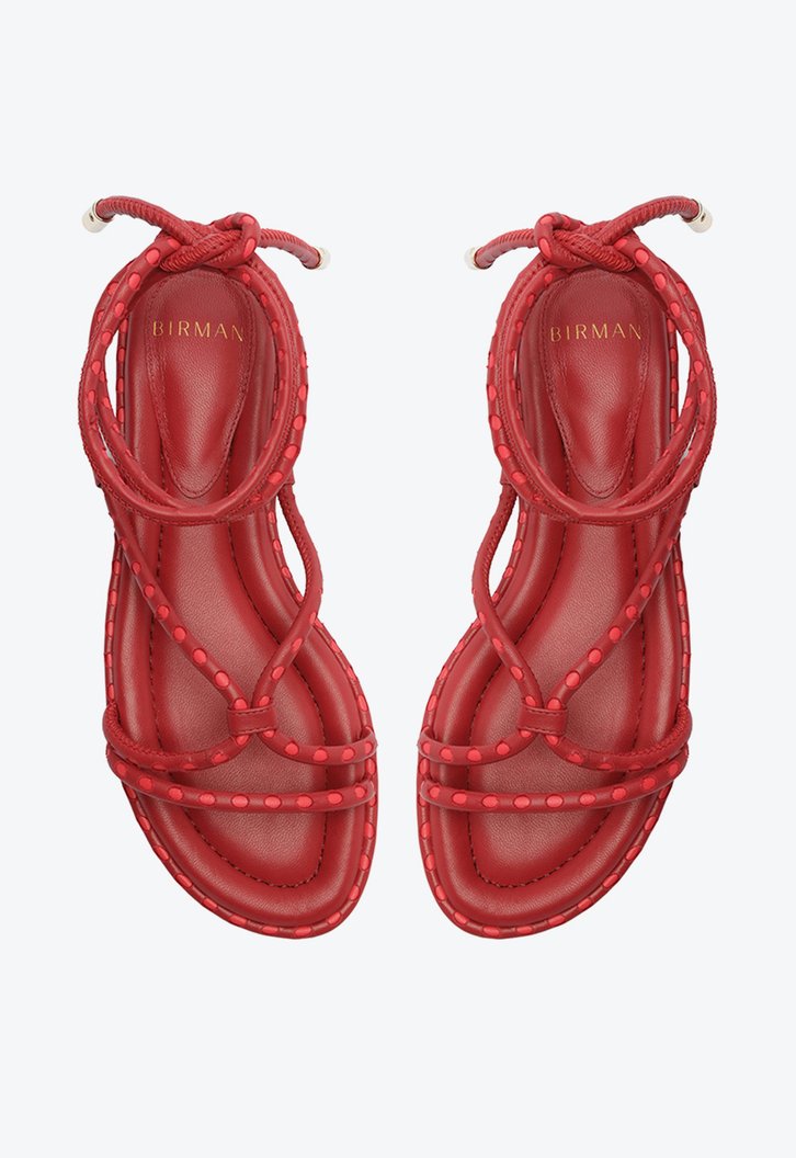 Donna Flat 15 Macaw