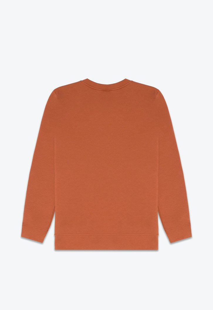 Moletom Flying V Classic Crew Auburn