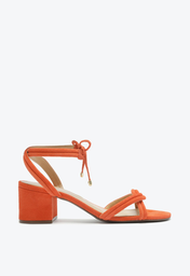 S2000103750072U-01-BASEIMAGE-