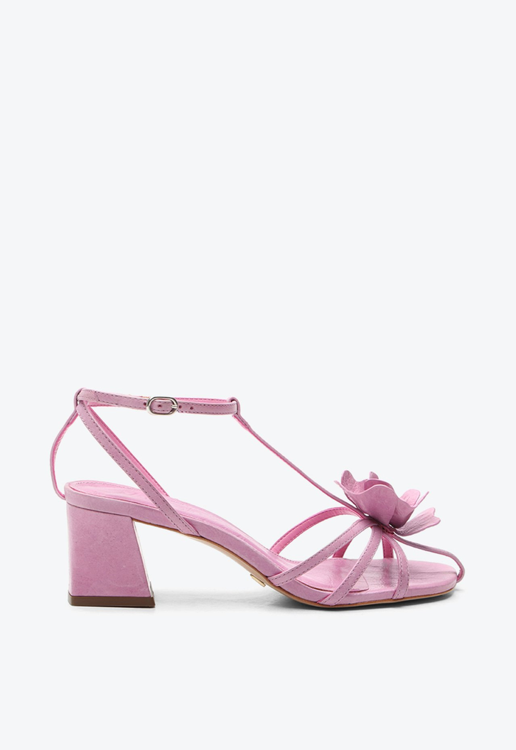 P1157500070002U-01-BASEIMAGE-