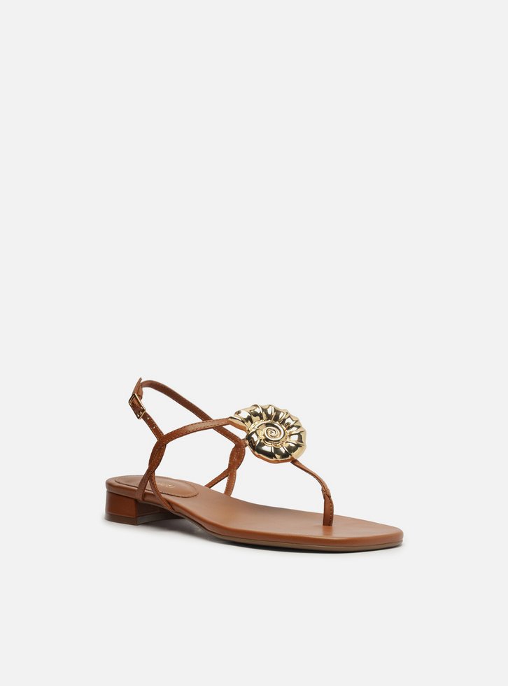 Sandália Marrom Couro Slim Metal Concha