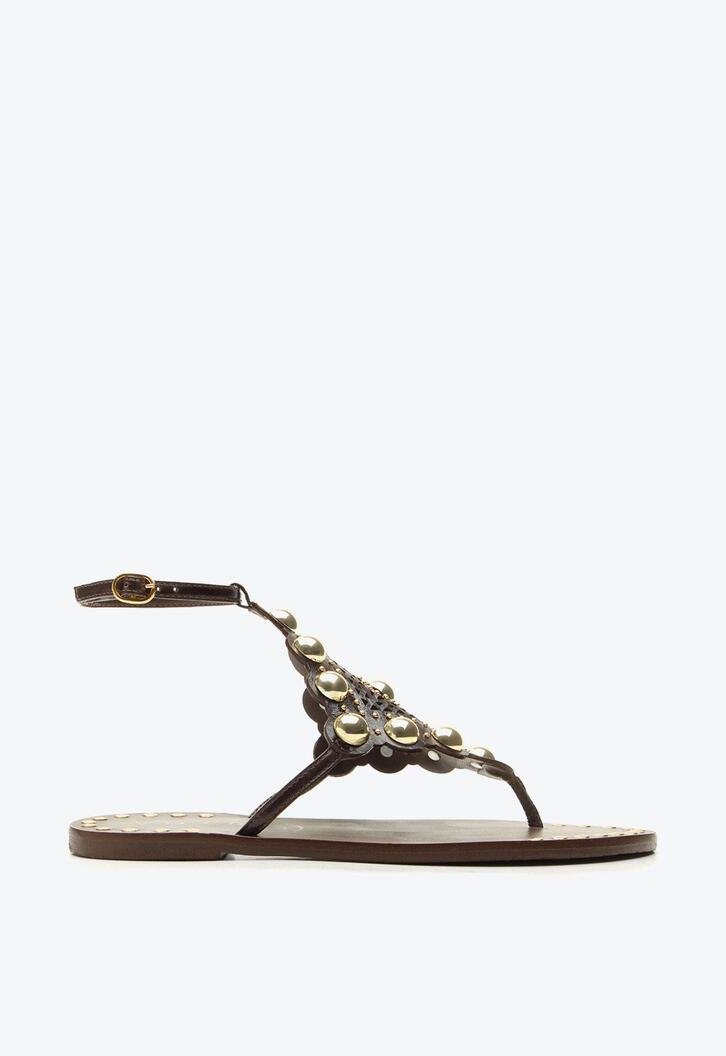 Flat Sienna Marrom