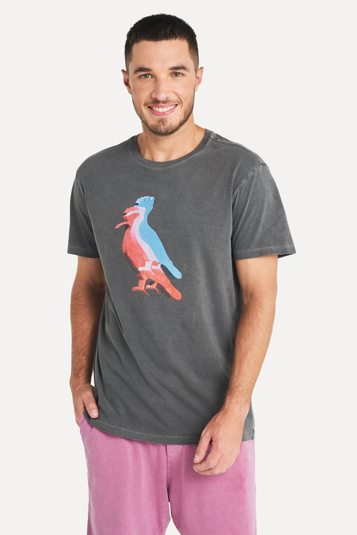CAMISETA PRETA RESERVA ESTAMPADA PICA-PAU REGISTRO 3D