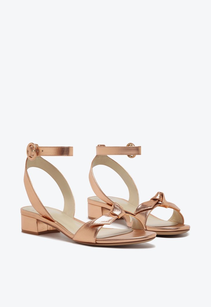 Clarita 30 Shell Pink