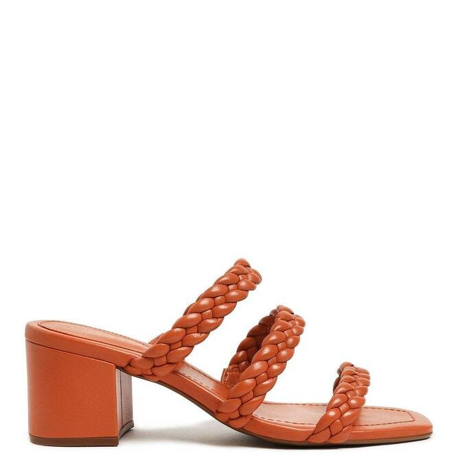 nova coleção piccadilly 2019