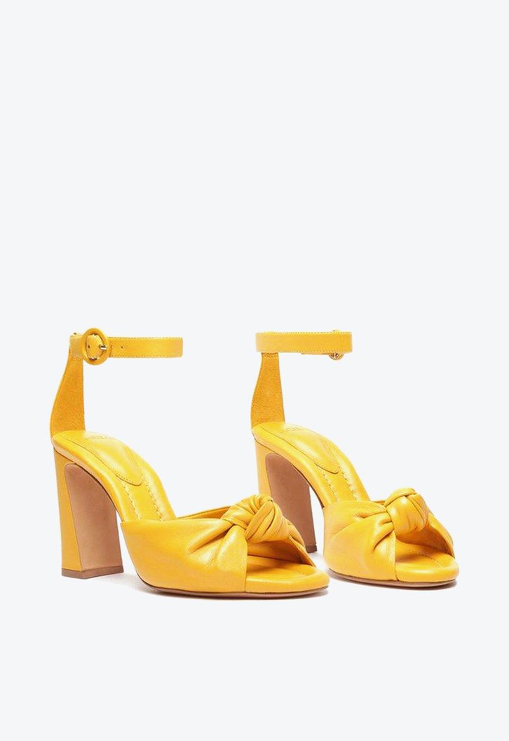 Lina Block 90 Maize