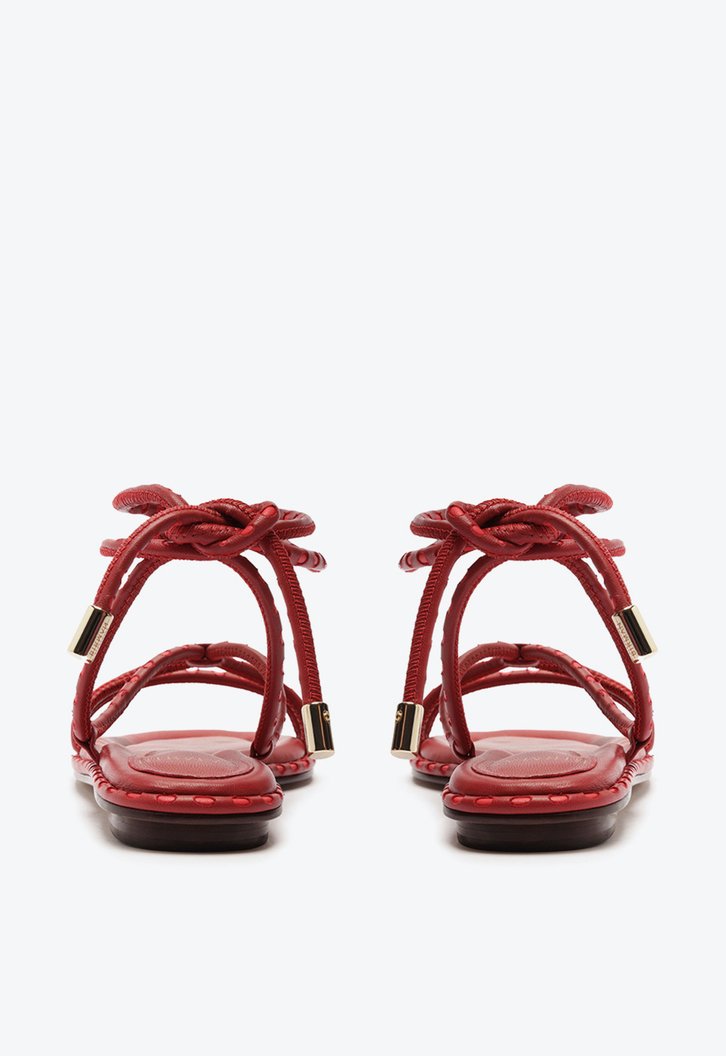 Donna Flat 15 Macaw