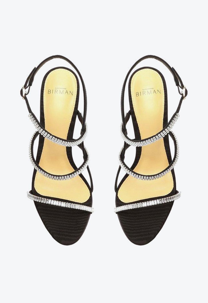 Sally Zircone 100 Black