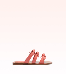 Lolita Flat Coral Blossom