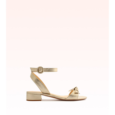 Clarita 30 Golden