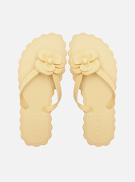 Chinelo de Dedo Bege Recouro Flor Daisy