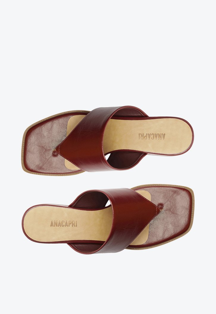Sandália Mule Gaspéa Regular Roxo