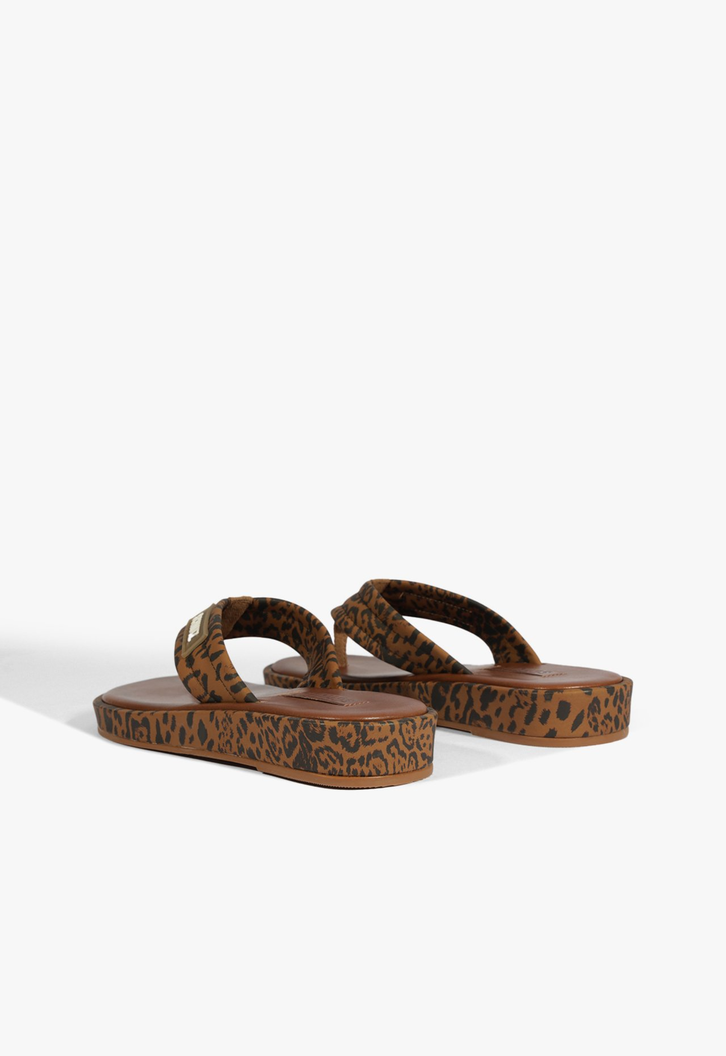 Chinelo Zoe Estampa Animal