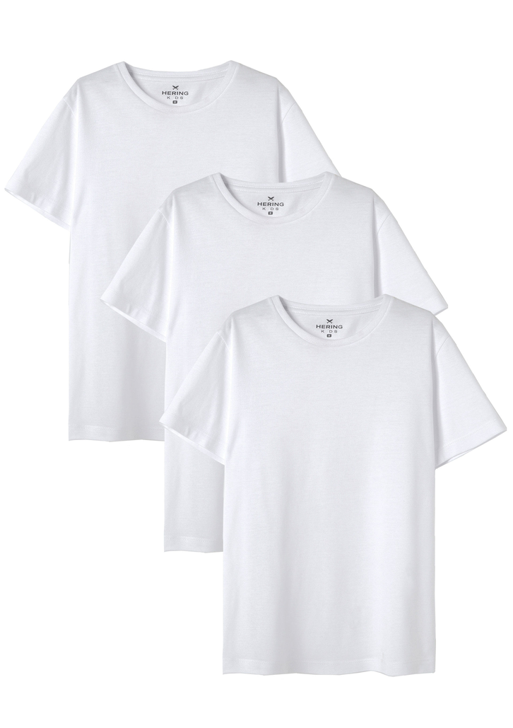 Kit 3 Camisetas Branca Hering Manga Curta Slim